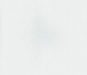 Обои Rasch Textil Selected 077109